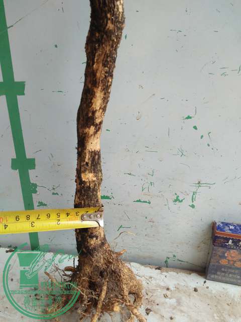 IMG20170328113949.jpg