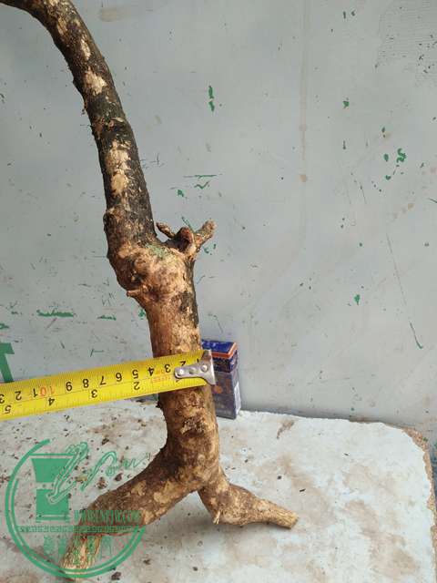 IMG20170328114052.jpg