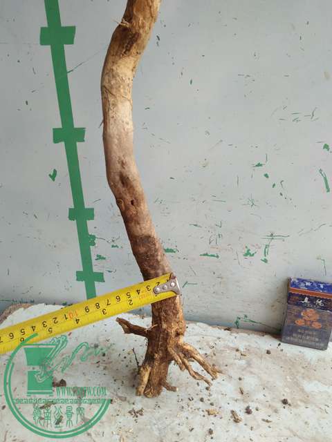 IMG20170328114226.jpg