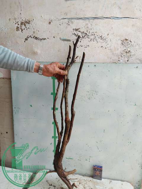 IMG20170328114640.jpg