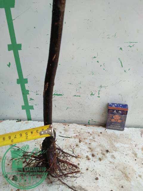 IMG20170328114950.jpg