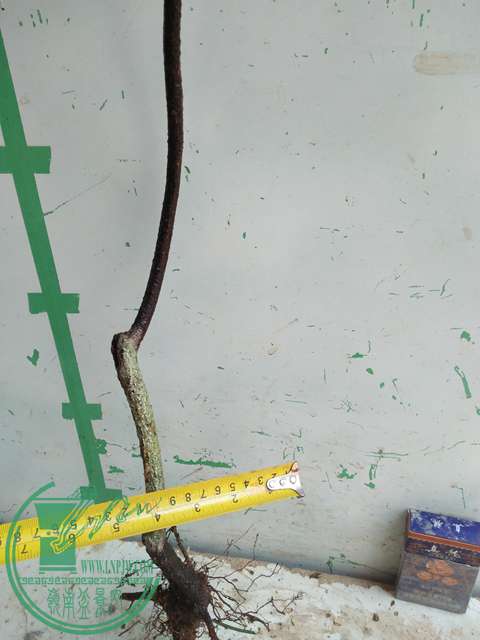 IMG20170328115044.jpg