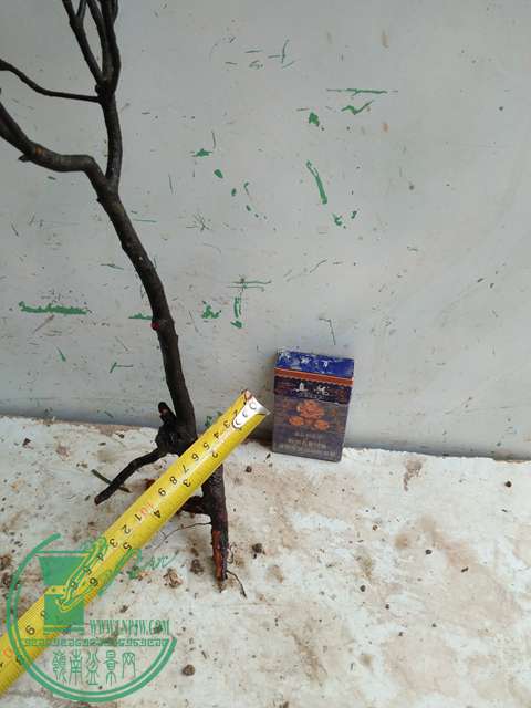 IMG20170328115128.jpg