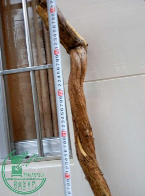 P70329-180013_.jpg