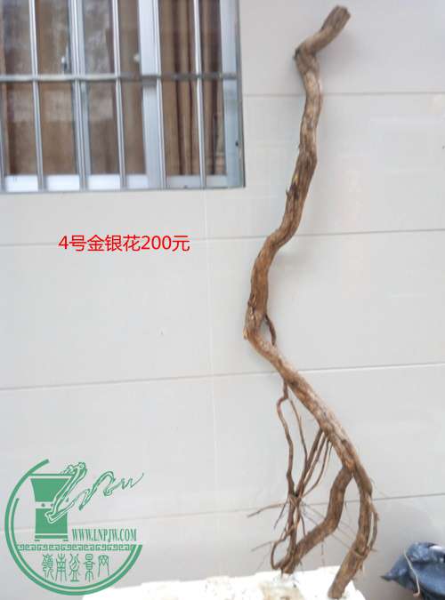 P70329-180042_.jpg