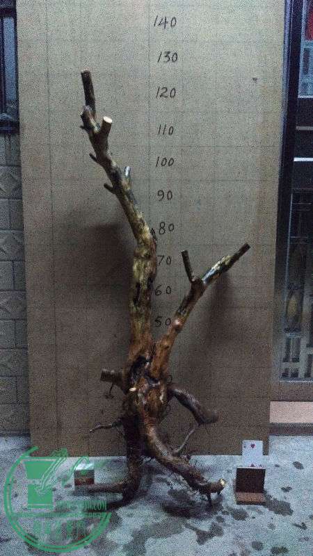 874933