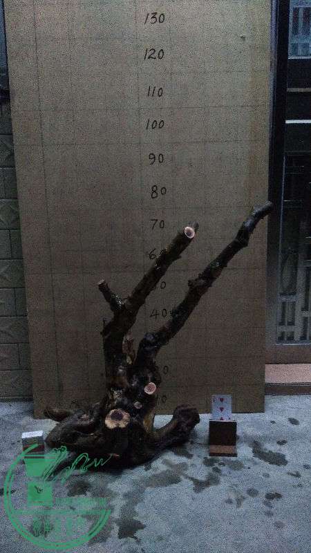 874937