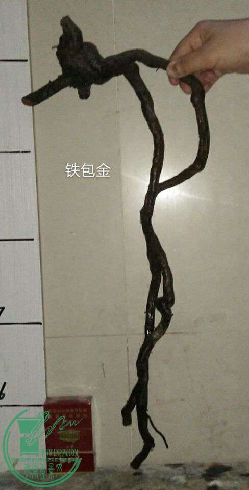 QQͼƬ20170329215123.jpg