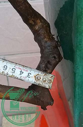20170330_180044_mh1490872750113.jpg