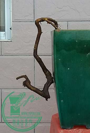 20170330_180032_mh1490872734730.jpg