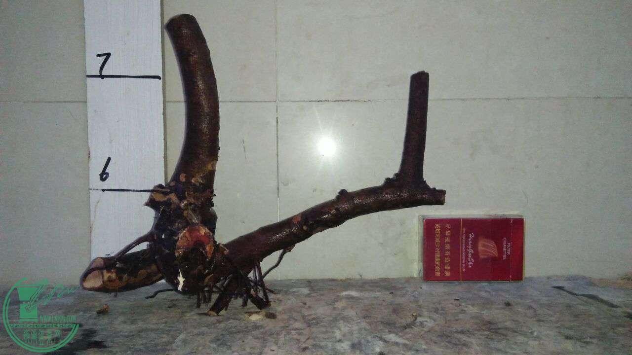 QQͼƬ20170330204833.jpg