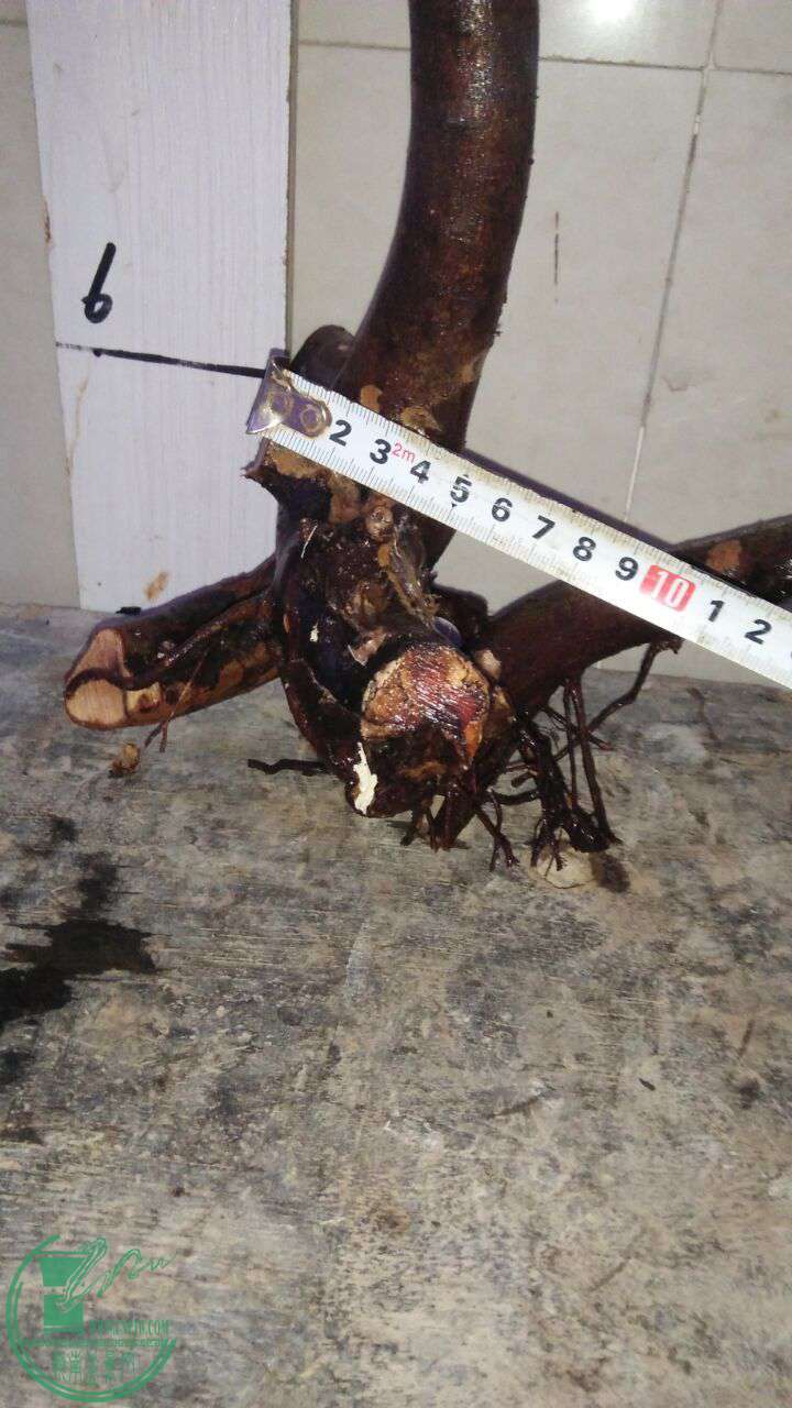 QQͼƬ20170330204826.jpg