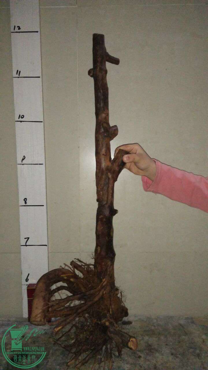 QQͼƬ20170330204721.jpg