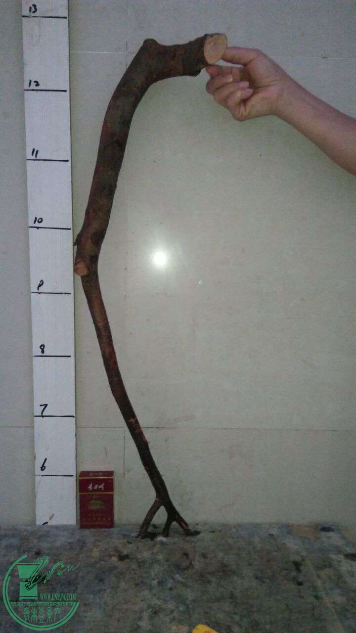 QQͼƬ20170330204755.jpg