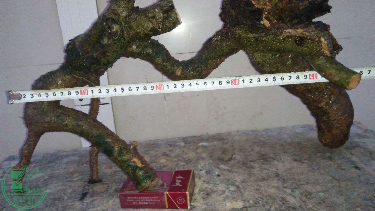 QQͼƬ20170330204854.jpg