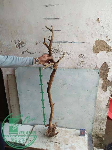 IMG20170330111227.jpg