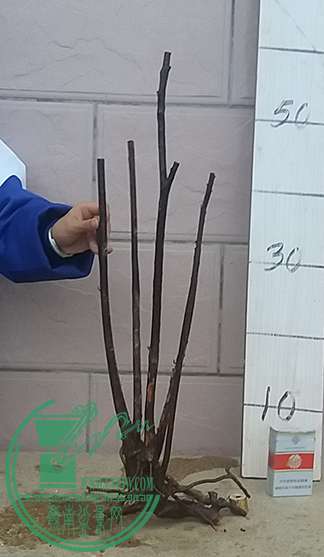 20170331_181959_mh1490959029539.jpg