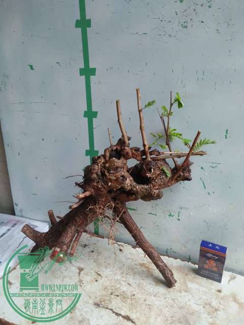 IMG20170331170836.jpg