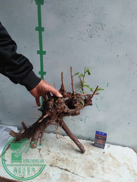 IMG20170331170842.jpg