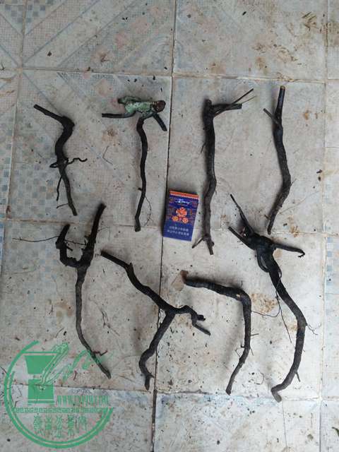IMG20170331172041.jpg