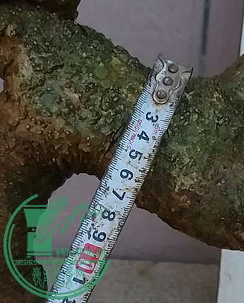 20170401_183112_mh1491046167029.jpg