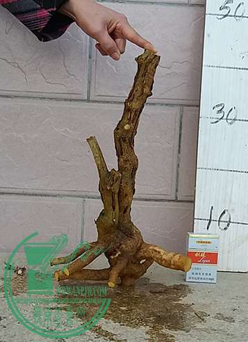 20170401_182836_mh1491046087862.jpg