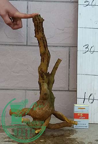 20170401_182752_mh1491046043597.jpg
