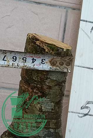 20170401_181533_mh1491045604173.jpg