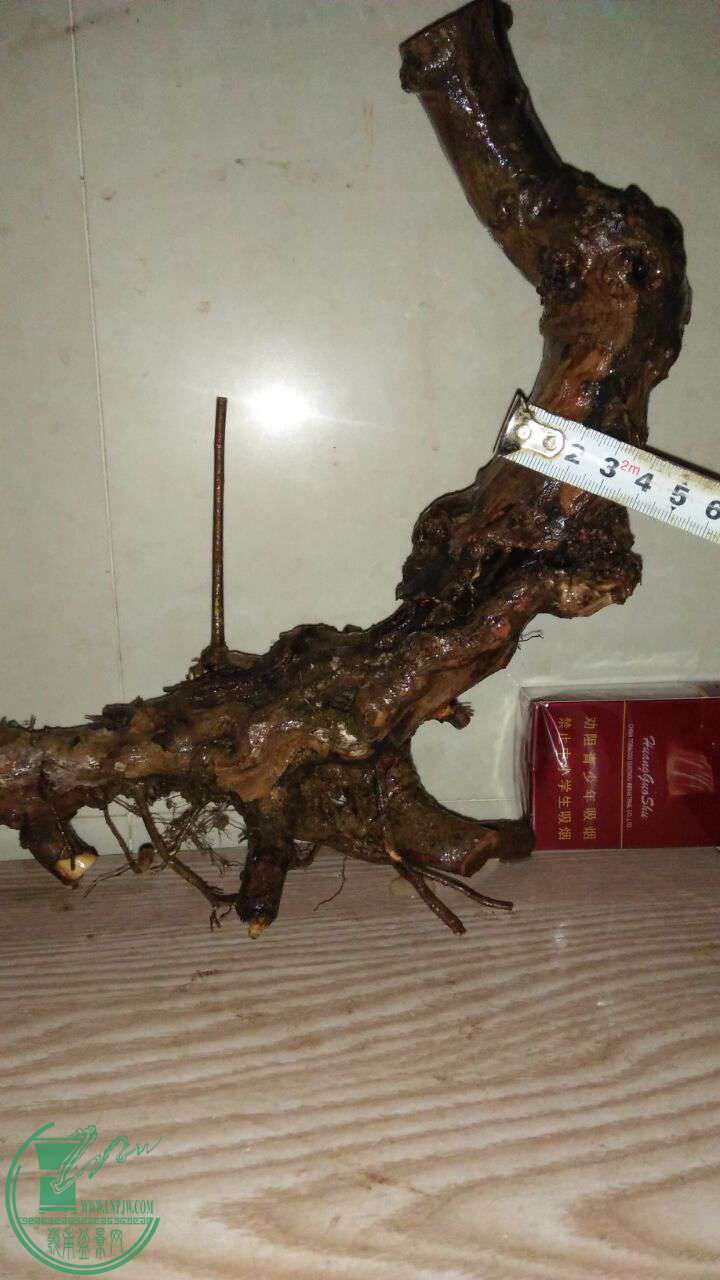 QQͼƬ20170401200913.jpg