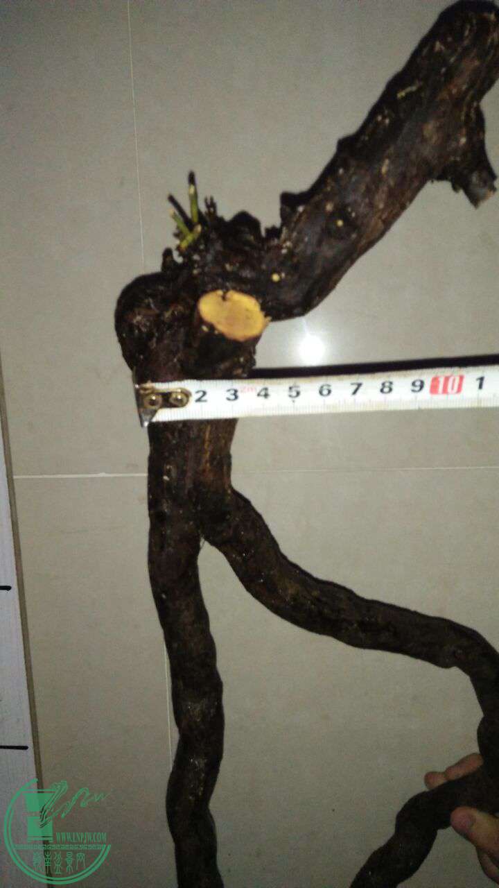 QQͼƬ20170401201012.jpg