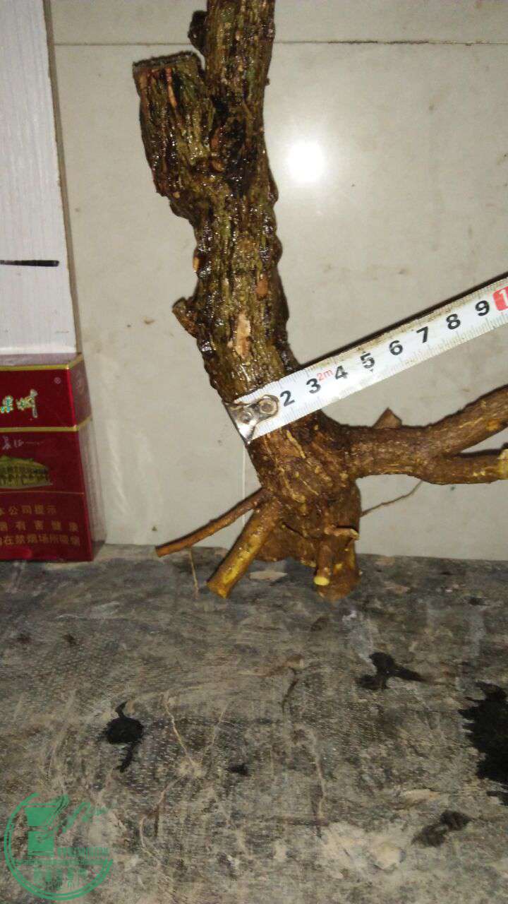 QQͼƬ20170401200945.jpg