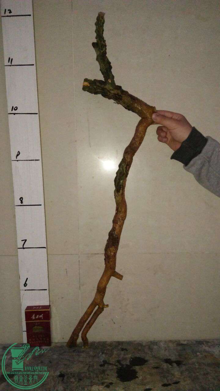 QQͼƬ20170401201021.jpg