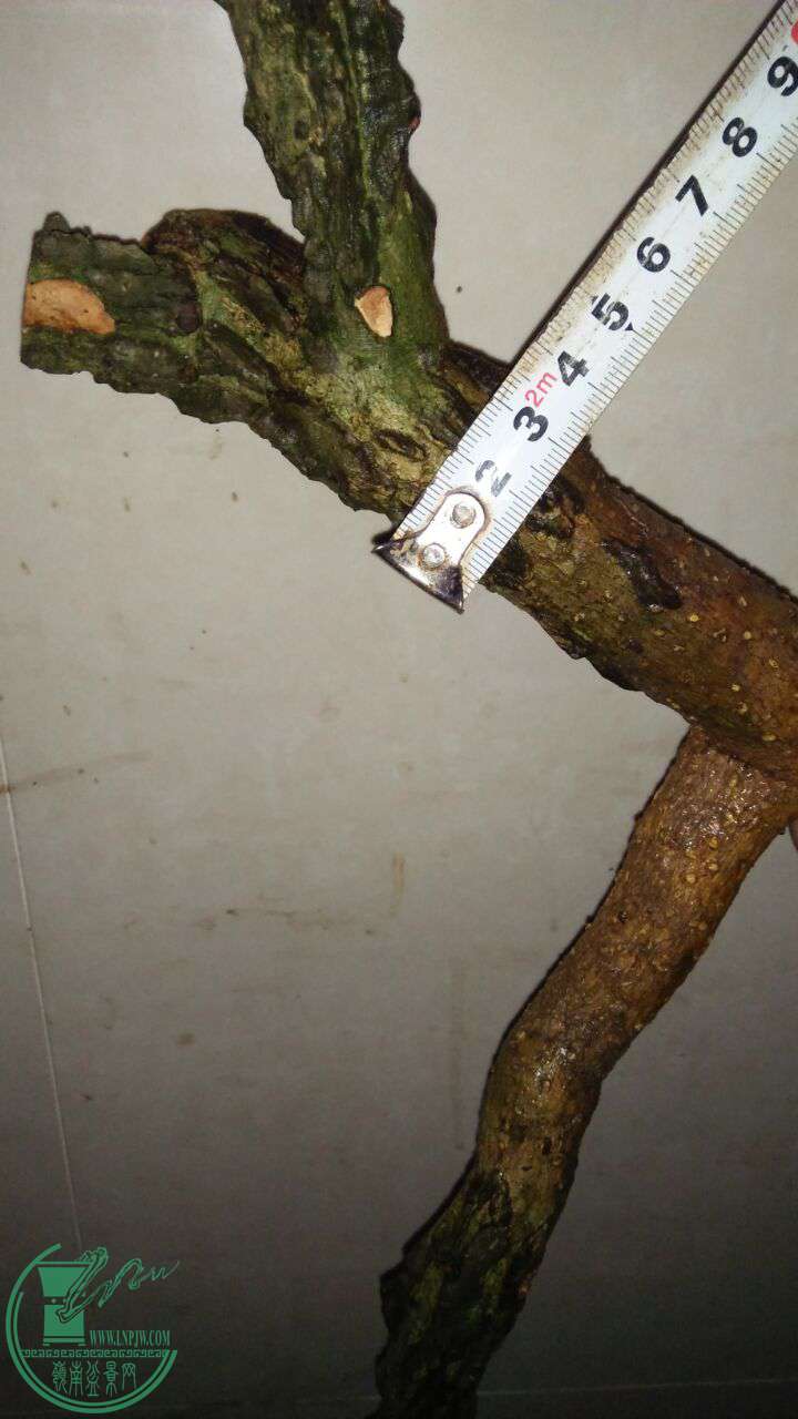 QQͼƬ20170401201033.jpg