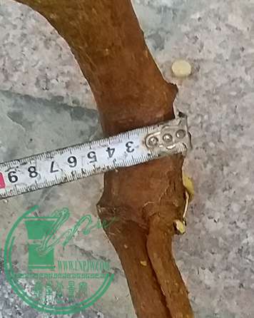 20170402_184903_mh1491133016291.jpg