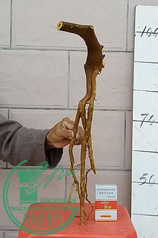 20170402_184820_mh1491133002894.jpg