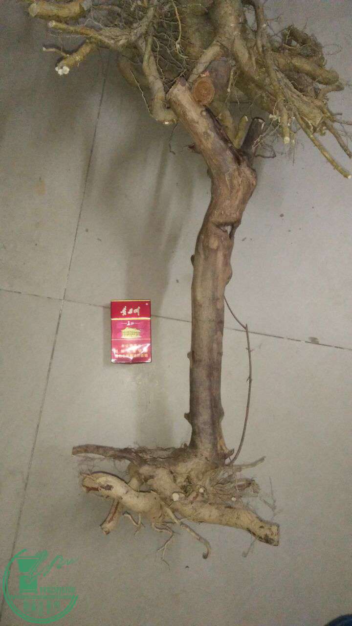 QQͼƬ20170402211204.jpg