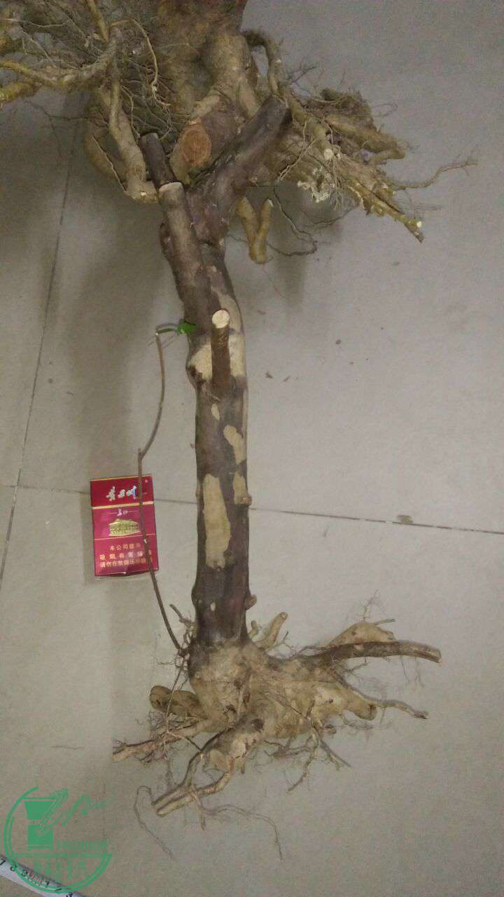 QQͼƬ20170402211233.jpg