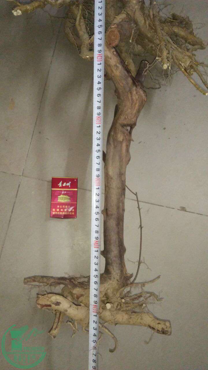 QQͼƬ20170402211221.jpg