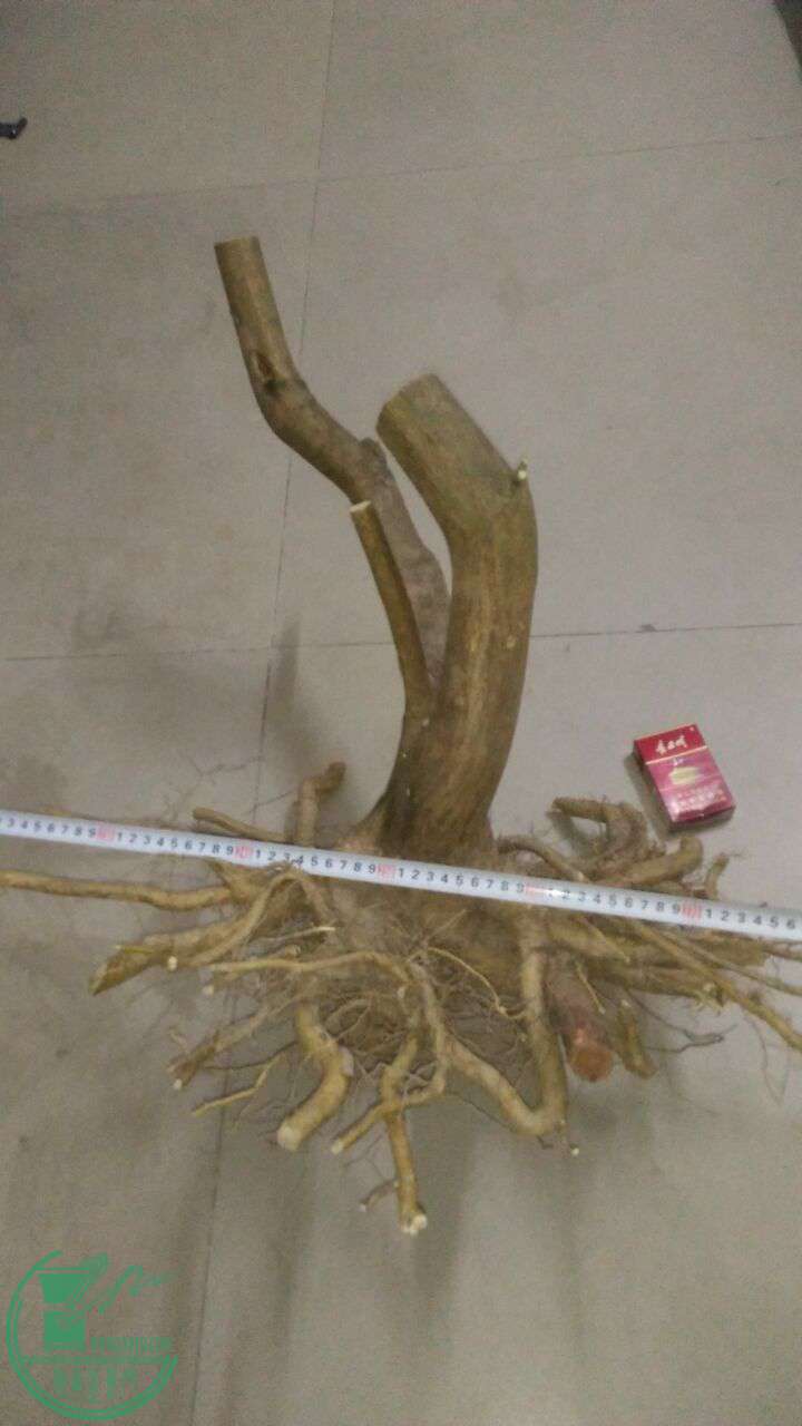 QQͼƬ20170402211316.jpg
