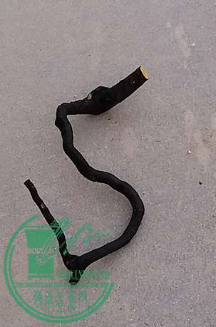 20170402_184127_mh1491132982214.jpg