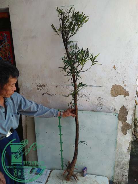 IMG20170402114649.jpg