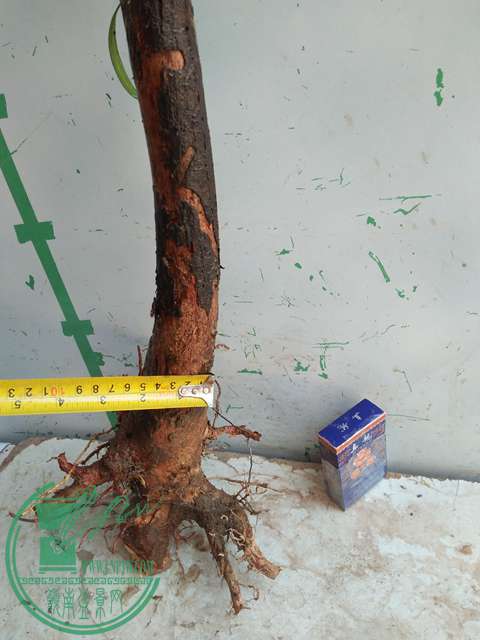 IMG20170402114656.jpg