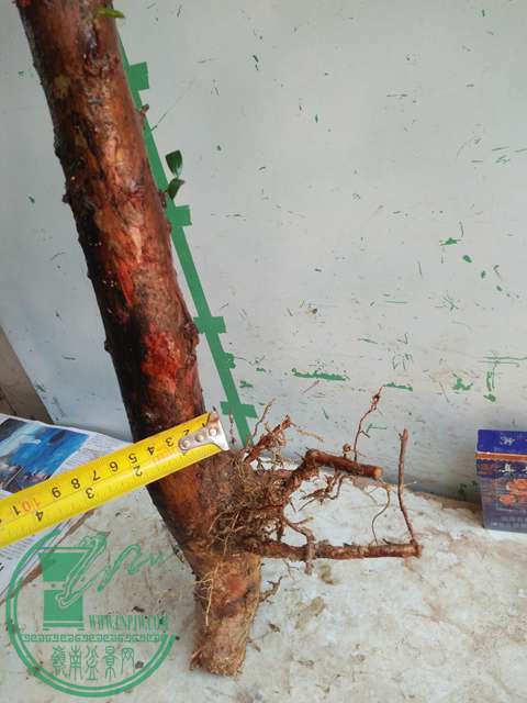 IMG20170402114751.jpg