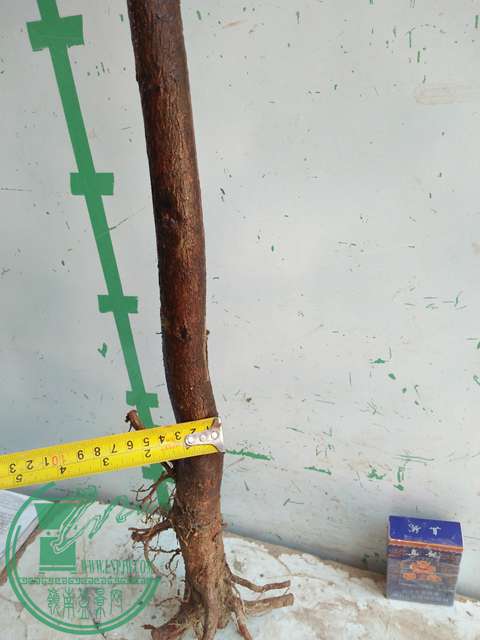 IMG20170402115054.jpg