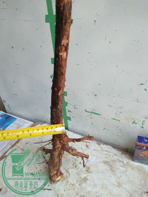 IMG20170402115325.jpg