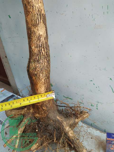 IMG20170402120435.jpg