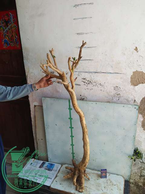 IMG20170402120528.jpg