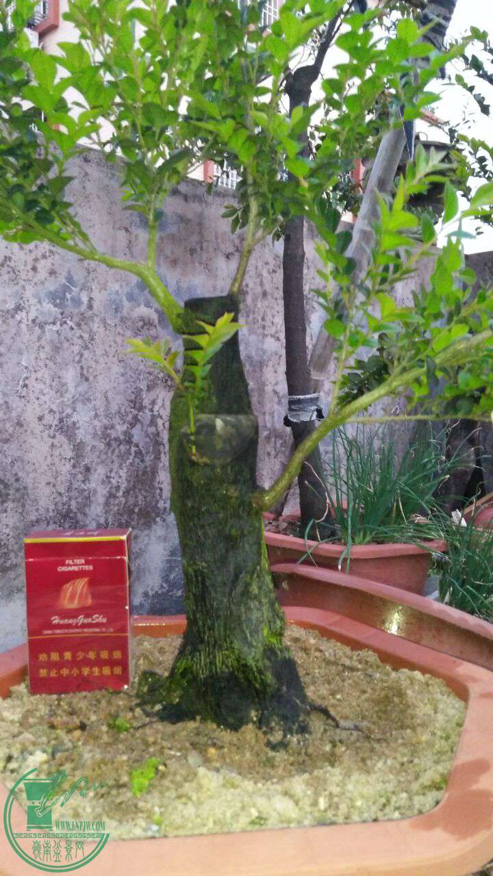 QQͼƬ20170403201423.jpg