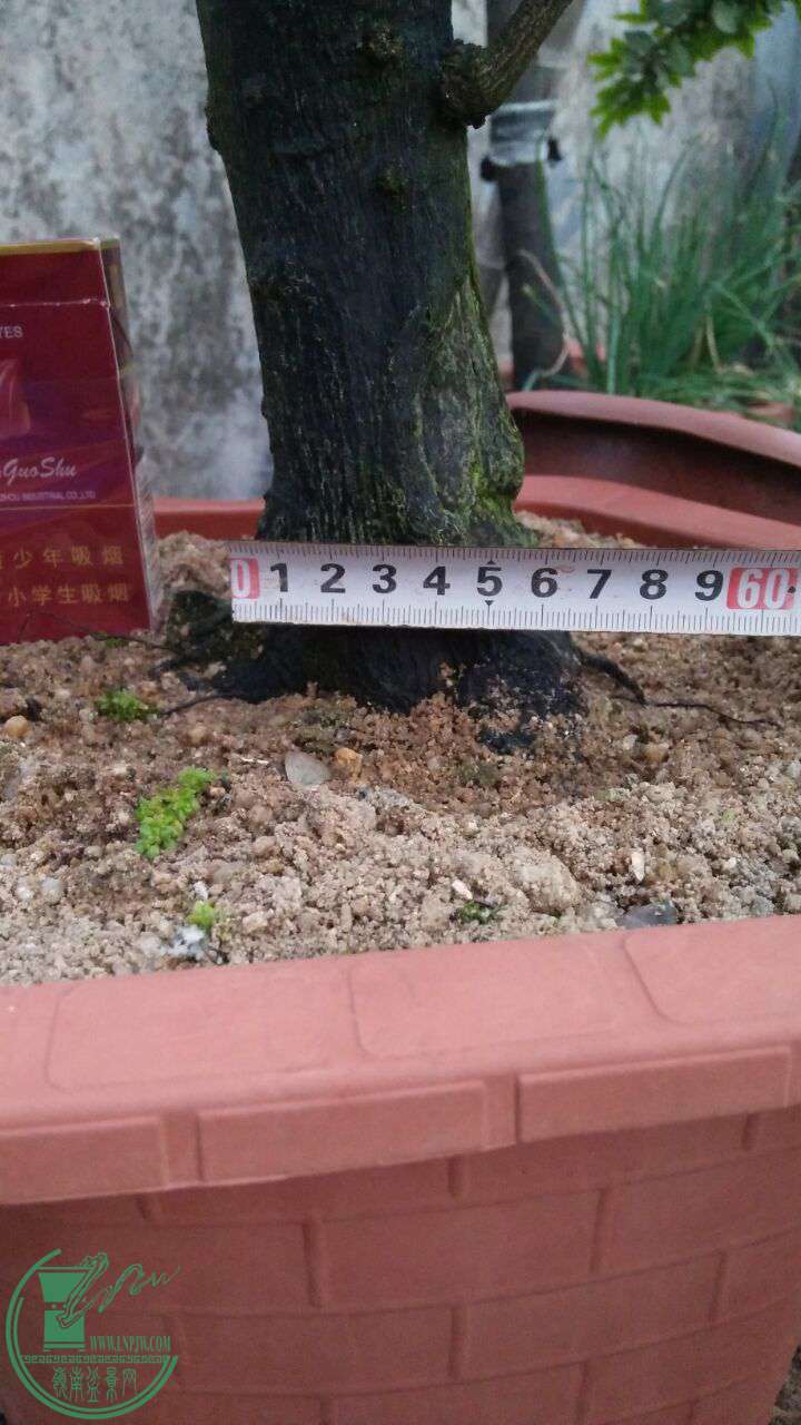 QQͼƬ20170403201434.jpg