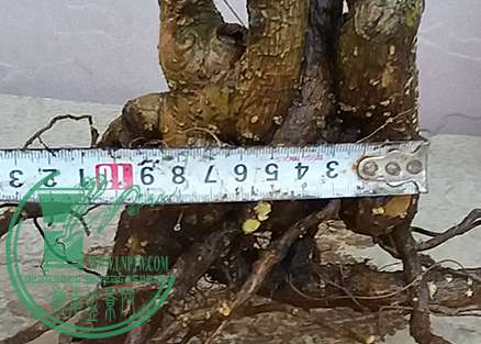 20170403_183728_mh1491218178323.jpg
